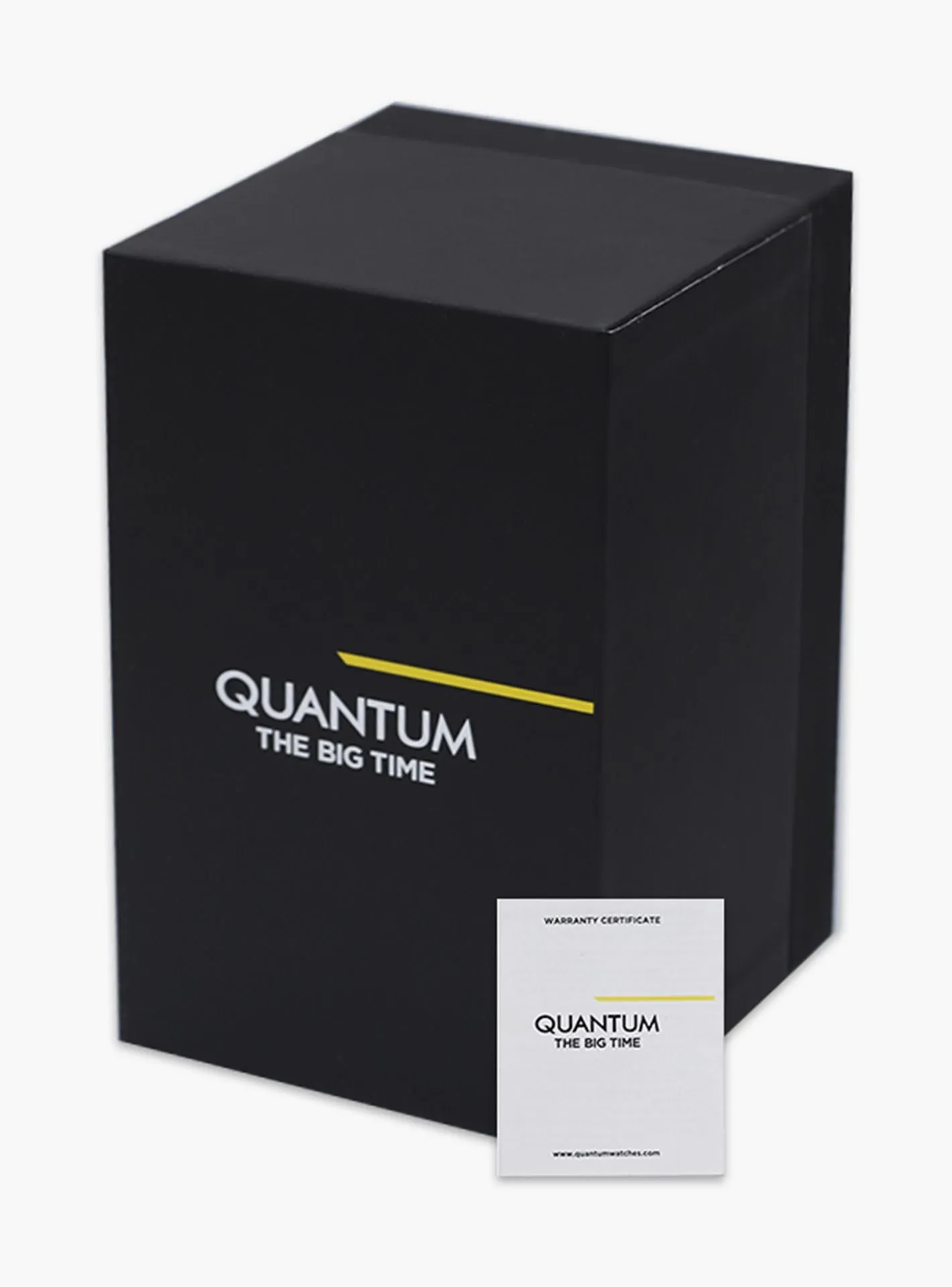 Quantum Silver Chronograph Stainless Steel Strap Men's Watch PWG930.350